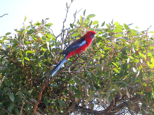 DSCN2456.JPG