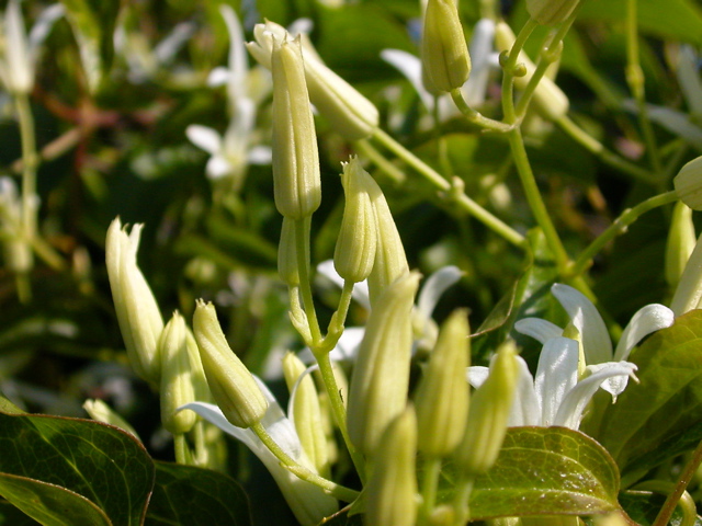 DSCN2466.JPG