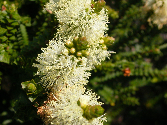 DSCN2468.JPG