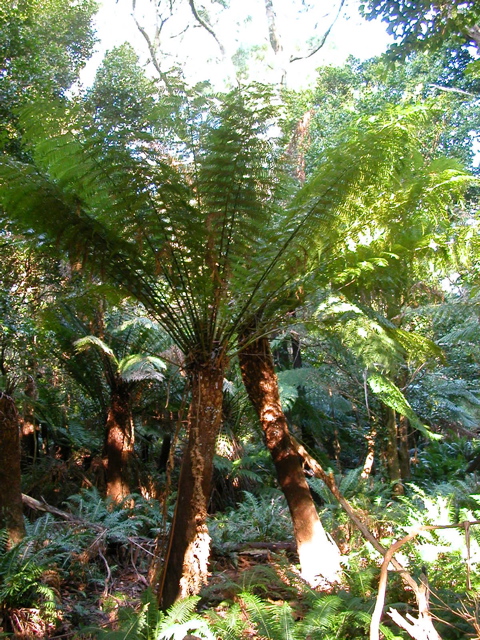 DSCN2474.JPG