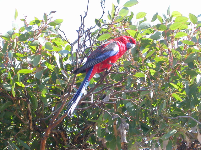 DSCN2457.JPG