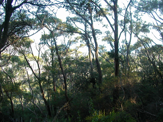 DSCN2476.JPG