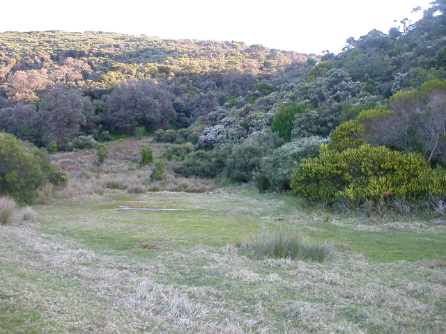 DSCN2477.JPG