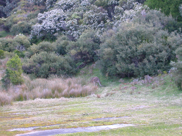 DSCN2478.JPG