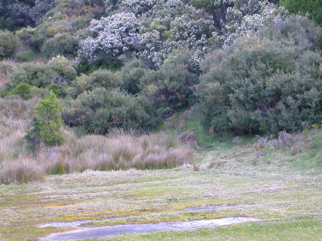 DSCN2481.JPG