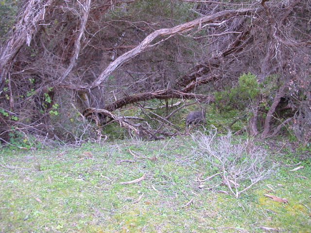 DSCN2482.JPG