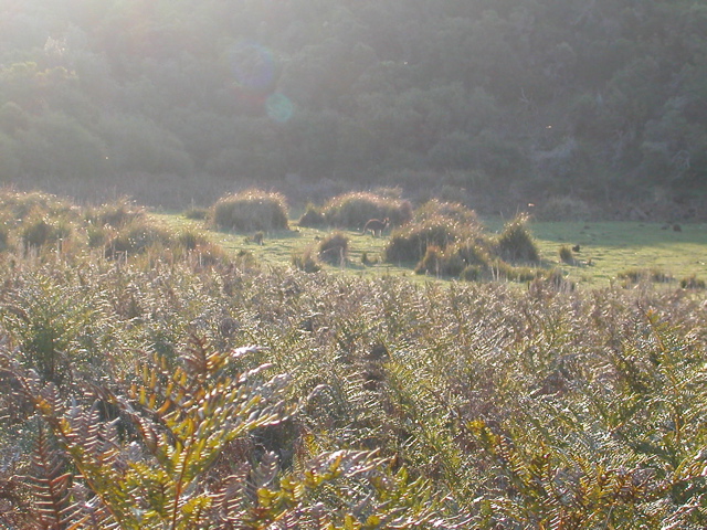 DSCN2484.JPG