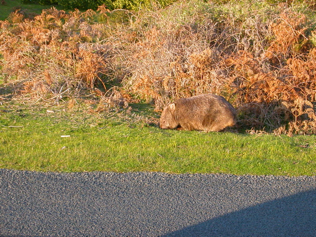 DSCN2486.JPG