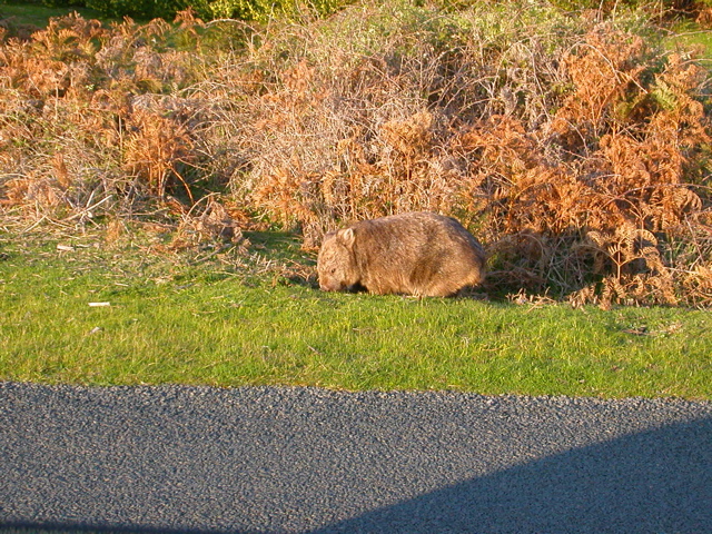 DSCN2487.JPG