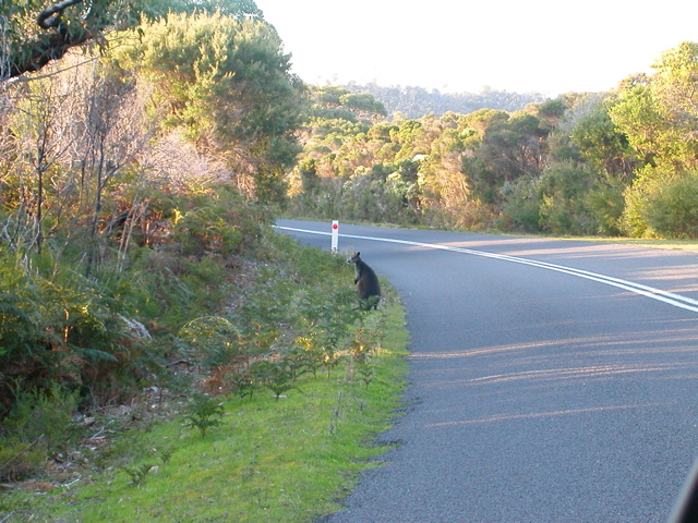 DSCN2489.JPG