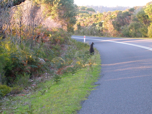DSCN2490.JPG
