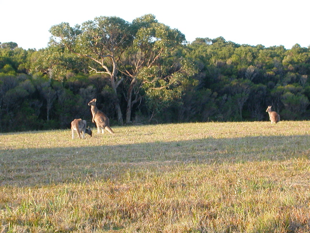 DSCN2493.JPG