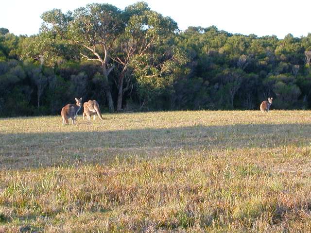 DSCN2495.JPG
