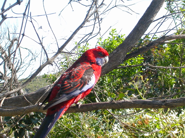 DSCN2459.JPG