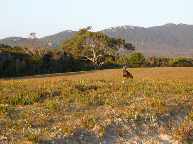 DSCN2496.JPG