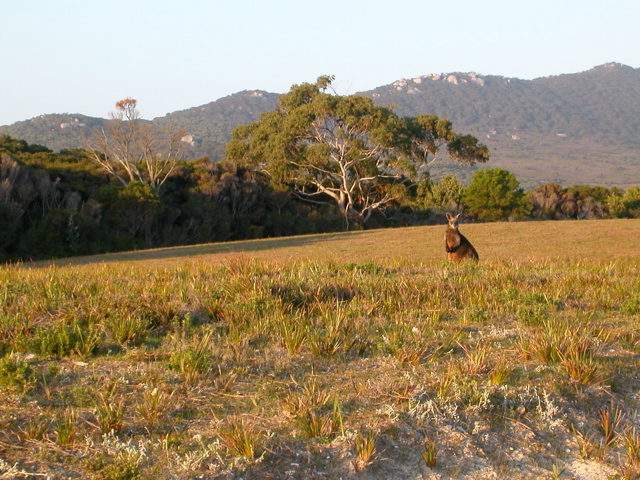 DSCN2497.JPG