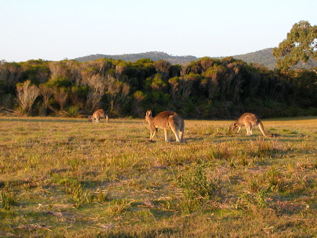 DSCN2501.JPG