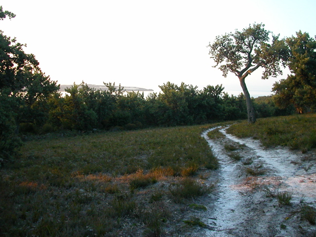 DSCN2503.JPG