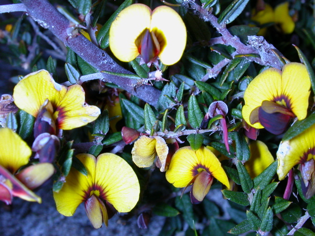 DSCN2504.JPG