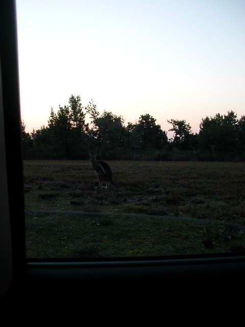DSCN2508.JPG