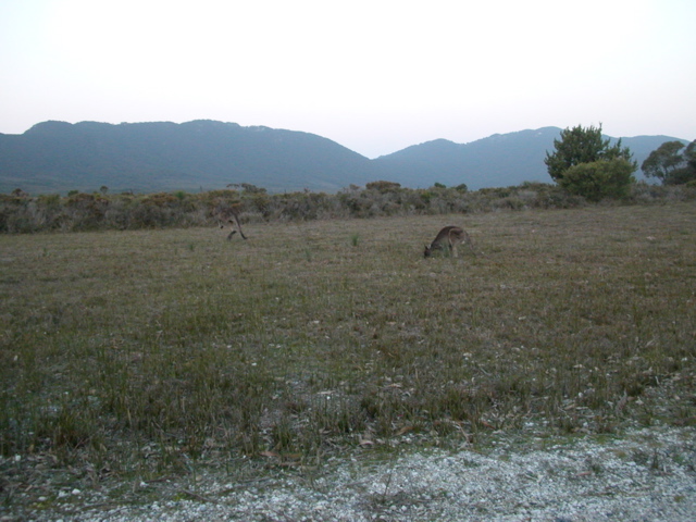 DSCN2509.JPG