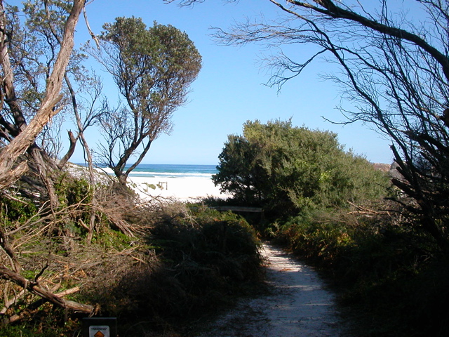 DSCN2462.JPG