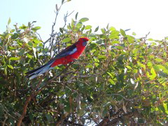 DSCN2455.JPG