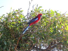 DSCN2456.JPG
