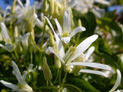 DSCN2465.JPG