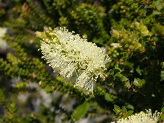 DSCN2467.JPG