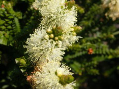 DSCN2468.JPG