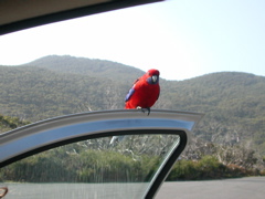 DSCN2469.JPG