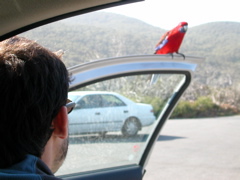 DSCN2470.JPG