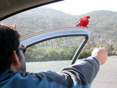 DSCN2471.JPG