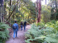 DSCN2472.JPG