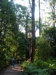 DSCN2473.JPG