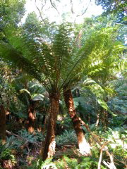 DSCN2474.JPG