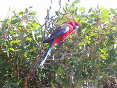 DSCN2457.JPG