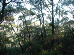 DSCN2476.JPG