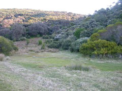DSCN2477.JPG
