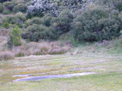 DSCN2480.JPG