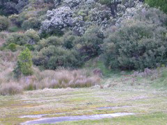 DSCN2481.JPG