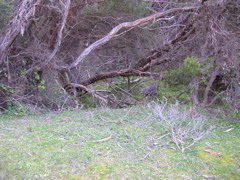 DSCN2482.JPG