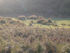 DSCN2483.JPG