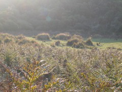 DSCN2484.JPG