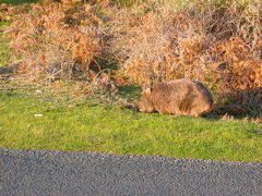 DSCN2485.JPG