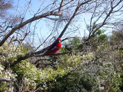 DSCN2458.JPG