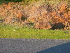 DSCN2486.JPG
