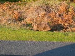 DSCN2487.JPG