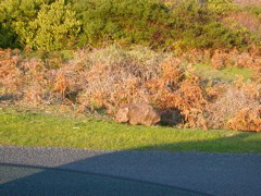 DSCN2488.JPG